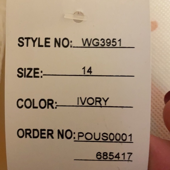 Wedding Gown - Picture 6 of 6